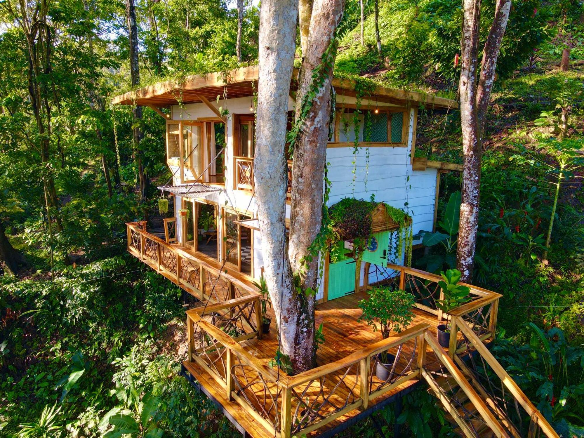 Villa Jungle Spirit Treehouse Cahuita Exterior foto
