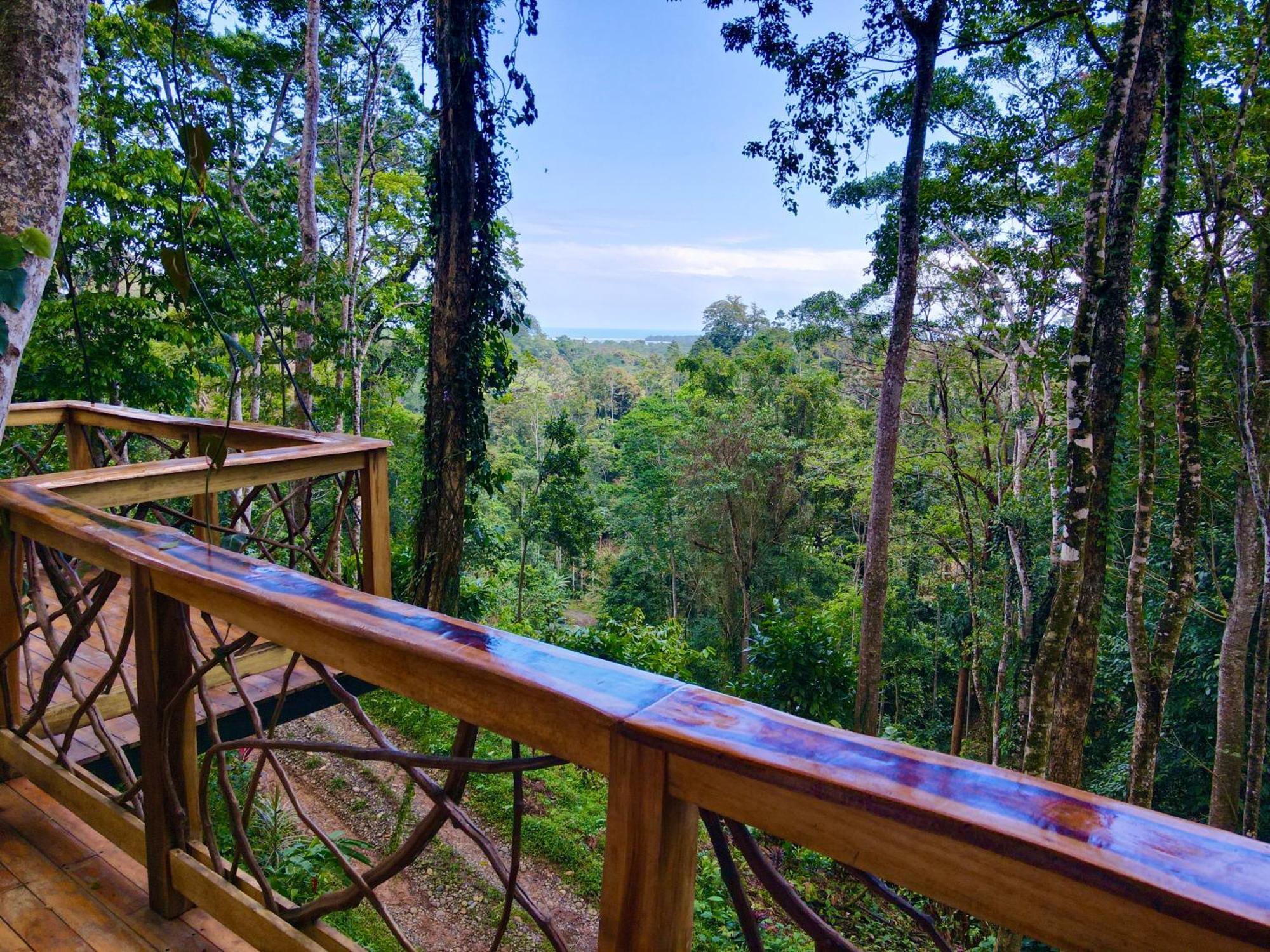 Villa Jungle Spirit Treehouse Cahuita Exterior foto