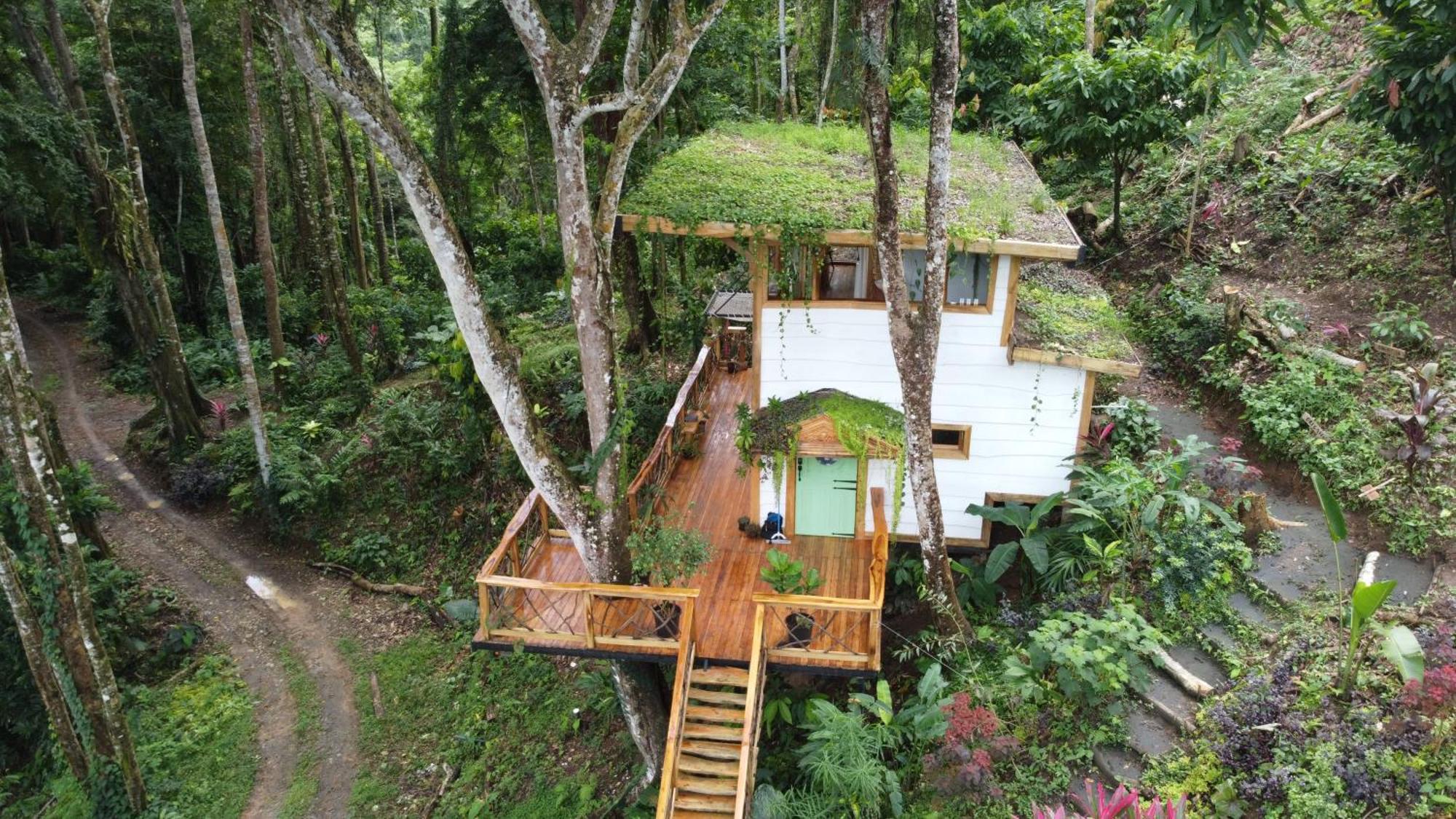 Villa Jungle Spirit Treehouse Cahuita Exterior foto