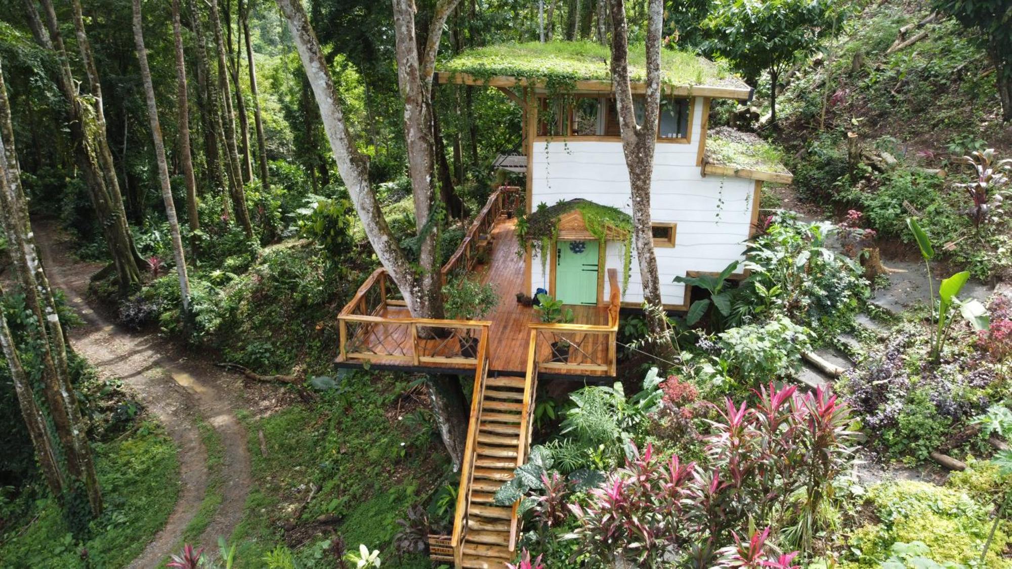 Villa Jungle Spirit Treehouse Cahuita Exterior foto