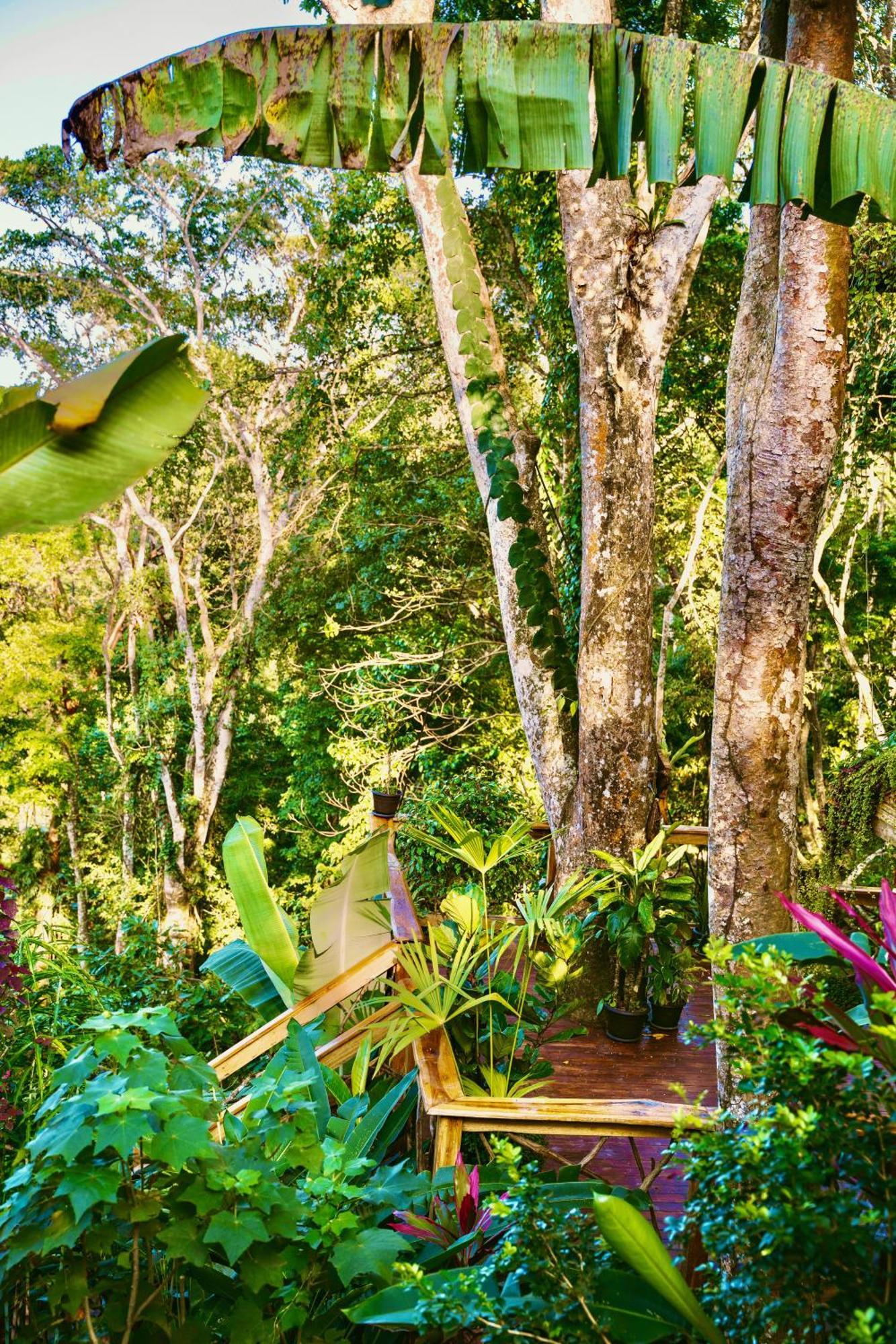 Villa Jungle Spirit Treehouse Cahuita Exterior foto