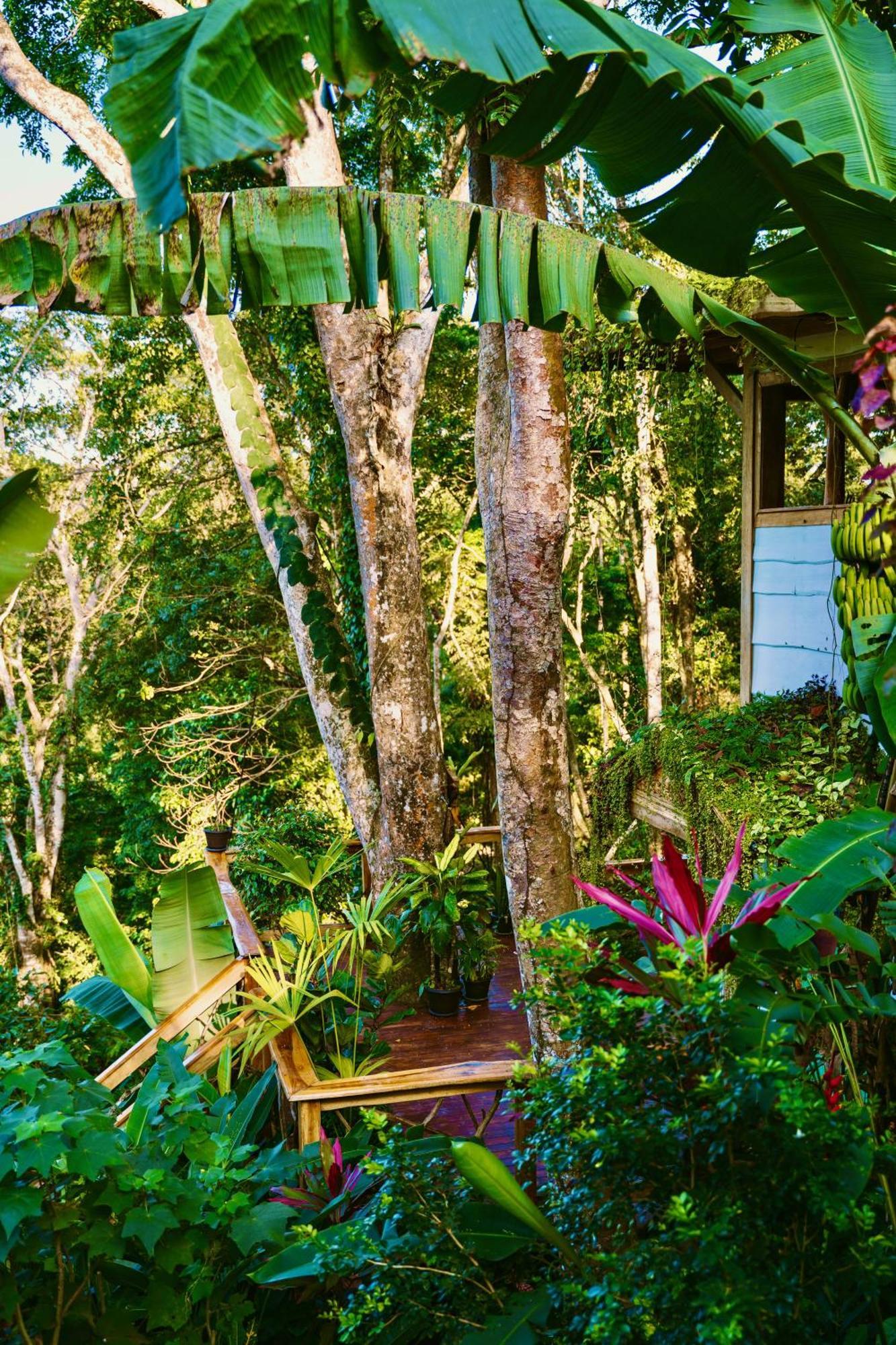 Villa Jungle Spirit Treehouse Cahuita Exterior foto
